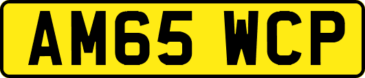 AM65WCP