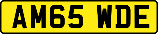 AM65WDE