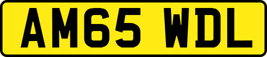 AM65WDL