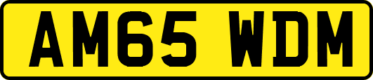 AM65WDM