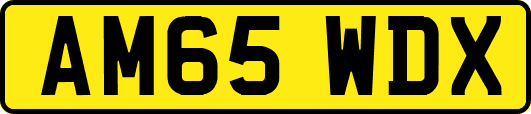 AM65WDX