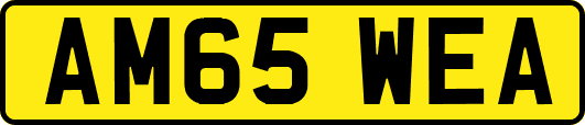 AM65WEA