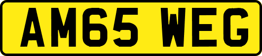 AM65WEG