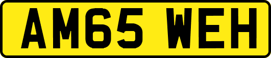 AM65WEH