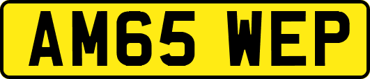 AM65WEP
