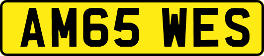 AM65WES