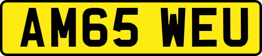 AM65WEU