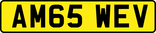 AM65WEV
