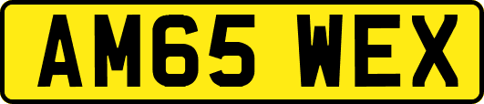 AM65WEX
