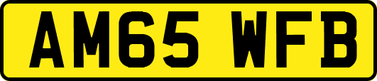 AM65WFB