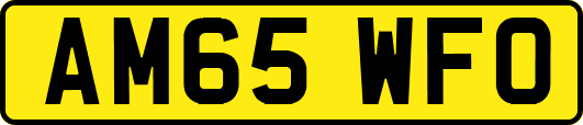 AM65WFO