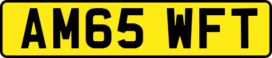 AM65WFT