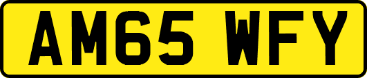 AM65WFY