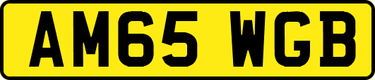 AM65WGB