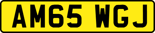 AM65WGJ
