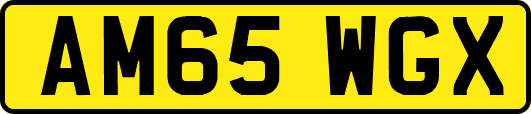 AM65WGX