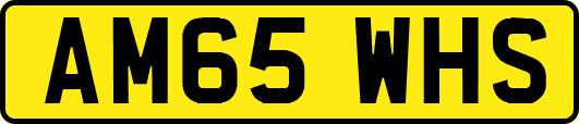 AM65WHS