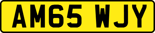 AM65WJY