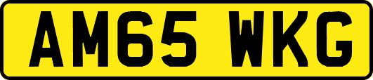AM65WKG