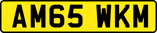 AM65WKM