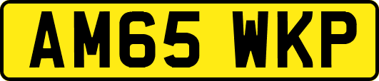 AM65WKP