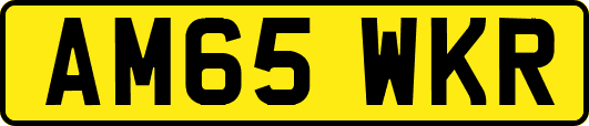 AM65WKR