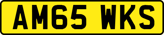 AM65WKS