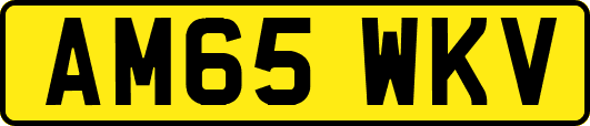 AM65WKV