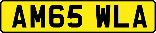 AM65WLA