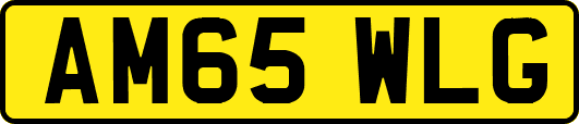 AM65WLG