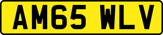 AM65WLV