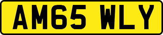 AM65WLY
