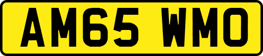 AM65WMO