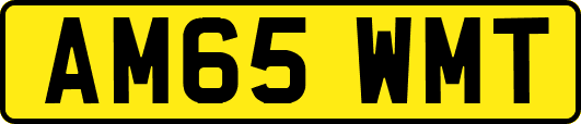 AM65WMT
