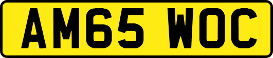 AM65WOC