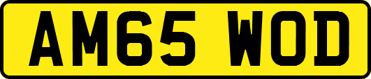 AM65WOD