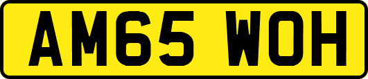 AM65WOH