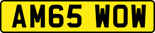 AM65WOW