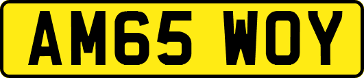 AM65WOY