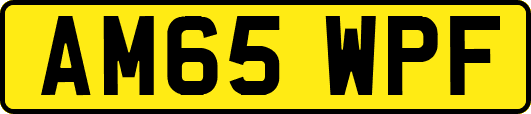 AM65WPF