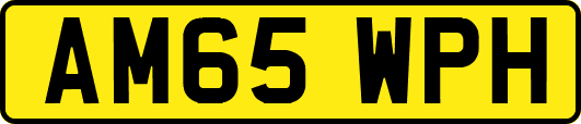 AM65WPH