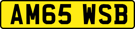 AM65WSB