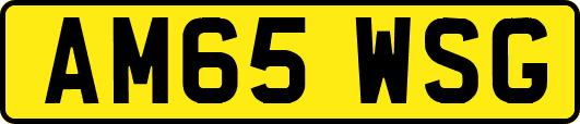 AM65WSG