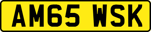 AM65WSK