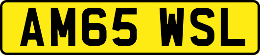 AM65WSL