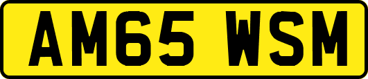 AM65WSM