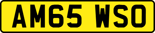 AM65WSO