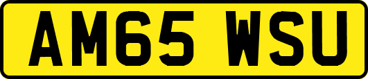 AM65WSU
