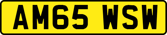 AM65WSW