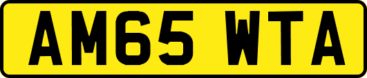 AM65WTA